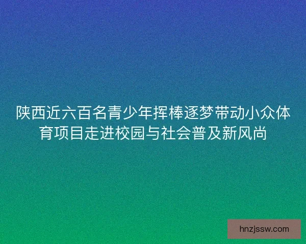 陕西近六百名青少年挥棒逐梦带动小众体育项目走进校园与社会普及新风尚